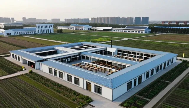 教务管理者如何选择更有效的师资培训服务